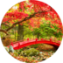 Colors of Autumn Live Wallpaper apk file