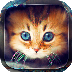 Cute Cats Live allpaper 2.1 GAME SPORTS apk file