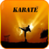 Karate 2 Travel And Local 2015 apk file