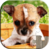 Dogs Jigsaw Puzzles Games Kids Health And Fitness apk file