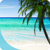 Perfect Beach VR Download apk file