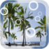 Beach Palms Live Wallpaper apk file
