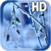 Winter Frost Live Wallpaper apk file