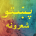 Pashto poetry collection of most famous Pushto poets. apk file