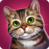 CatHotel - Hotel For Cute Cats apk file