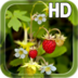 Forest Strawberry Lwp apk file