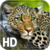 Leopard Live Wallpaper apk file