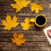 Autumn Leaves Live Wallpapers apk file