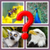 Guess The Animal apk file
