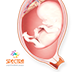 Mini Atlas Obstetrics apk file