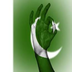 Pakistan Browser 4G apk file