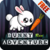 Bunny Run Adventure apk file