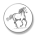 Horse Racing Latest News apk file