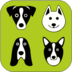 Dogs Breeds Wallpapers and Themes!  apk file