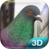 Pigeon Simulator apk file