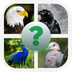 Bird World - Quiz about Famous Birds of the Earth apk file