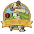 Cricket Games Play apk file