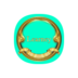 Learney  no more paying for learning. apk file