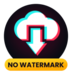 TikTok No Watermark apk file