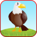 Bird Sounds Fun Learning Games - Coloring & Puzzle apk file
