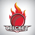Cricket Mh5 Game apk file