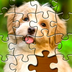 Puzzle Pro apk file