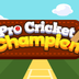 Pro Cricket Champion Game apk file